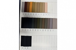 Color card